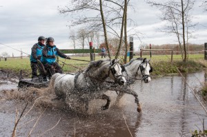 oefenmarathon 2016 MG 3465-3465 